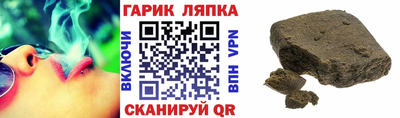 Купить закладки  Лодейное Поле  Гашиш Premium 