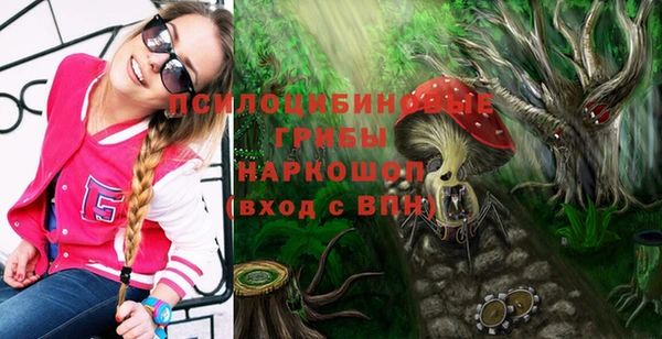 spice Корсаков