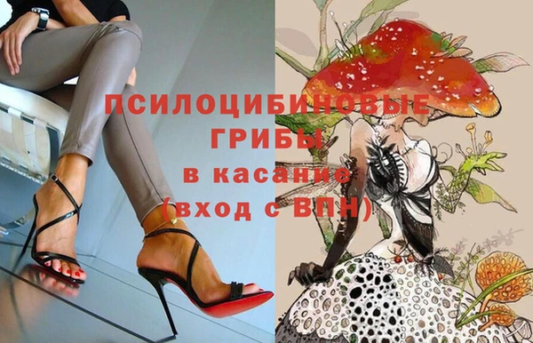spice Корсаков