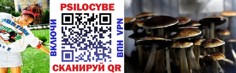 Галлюциногенные грибы мухоморы  Купить где  Лодейное Поле 